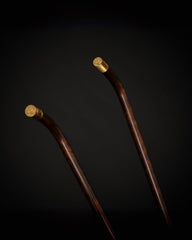 عصا الكربون البني المملكة العربية السعودية